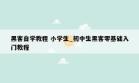 黑客自学教程 小学生_初中生黑客零基础入门教程