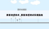 黑客渗透技术_黑客渗透测试实用指南