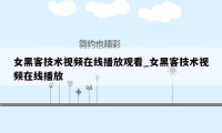 女黑客技术视频在线播放观看_女黑客技术视频在线播放