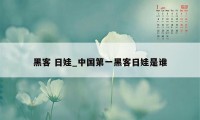 黑客 日娃_中国第一黑客日娃是谁