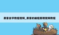 黑客自学教程视频_黑客的编程原理视频教程