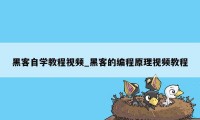 黑客自学教程视频_黑客的编程原理视频教程