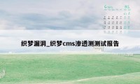 织梦漏洞_织梦cms渗透测测试报告