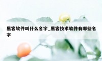 黑客软件叫什么名字_黑客技术软件有哪些名字