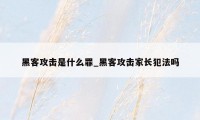 黑客攻击是什么罪_黑客攻击家长犯法吗