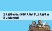 怎么查看被端口扫描的文件内容_怎么查看被端口扫描的文件