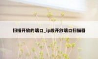 扫描开放的端口_ip段开放端口扫描器