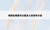 暗网在哪里可以看杀人的简单介绍