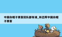 中国白帽子黑客团队都有谁_林志辉中国白帽子黑客