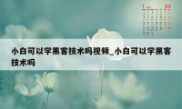 小白可以学黑客技术吗视频_小白可以学黑客技术吗