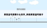 黑客盗号需要什么软件_网络黑客盗号骗子