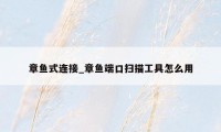 章鱼式连接_章鱼端口扫描工具怎么用
