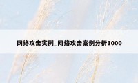 网络攻击实例_网络攻击案例分析1000