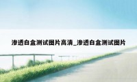 渗透白盒测试图片高清_渗透白盒测试图片