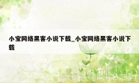 小宝网络黑客小说下载_小宝网络黑客小说下载