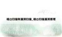 端口扫描和漏洞扫描_端口扫描漏洞原理