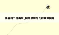 黑客的三种类型_网络黑客分几种类型图片