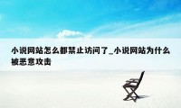 小说网站怎么都禁止访问了_小说网站为什么被恶意攻击