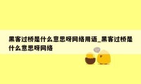 黑客过桥是什么意思呀网络用语_黑客过桥是什么意思呀网络